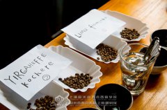 Coffee Cupping | 又学到了一个别人不知道的词（捂嘴偷笑）